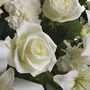 For The Service Color Image