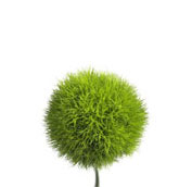 green trick