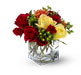 multi-colored roses