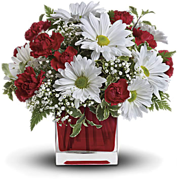 Red And White Delight by Teleflora