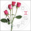Gemini is Roses